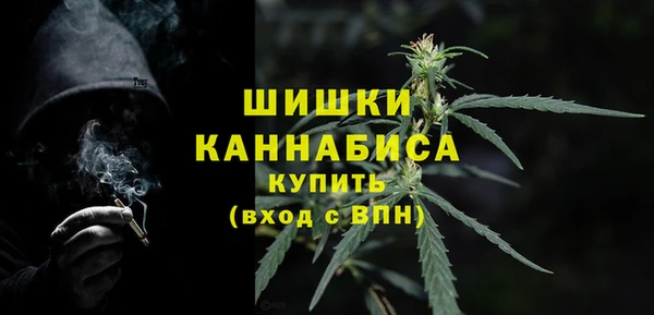 PSILOCYBIN Лиски