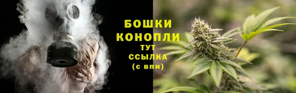 2c-b Липки