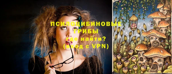 2c-b Липки