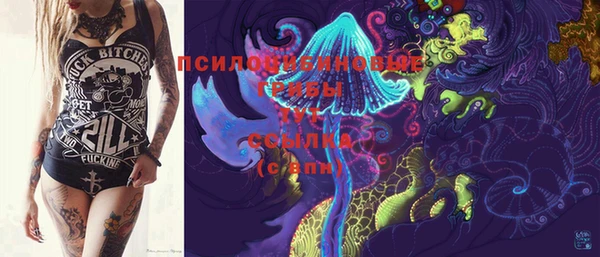 МДПВ Лихославль