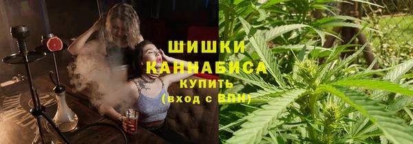 сатива Медногорск