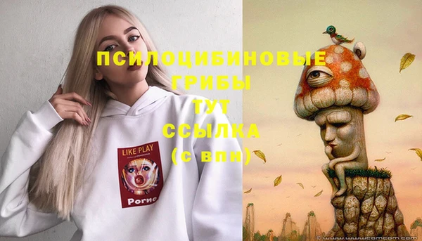 PSILOCYBIN Лиски