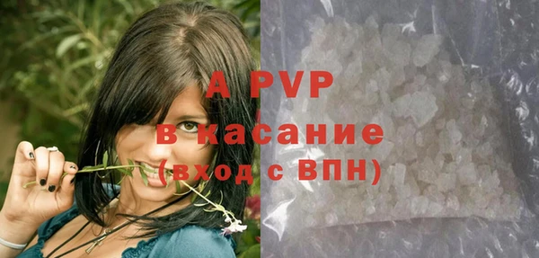 PSILOCYBIN Лиски