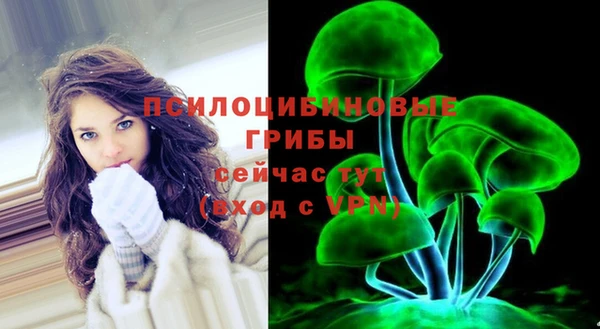 МДПВ Лихославль