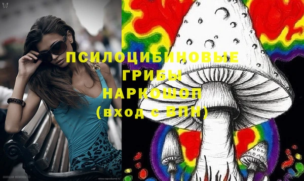 PSILOCYBIN Лиски