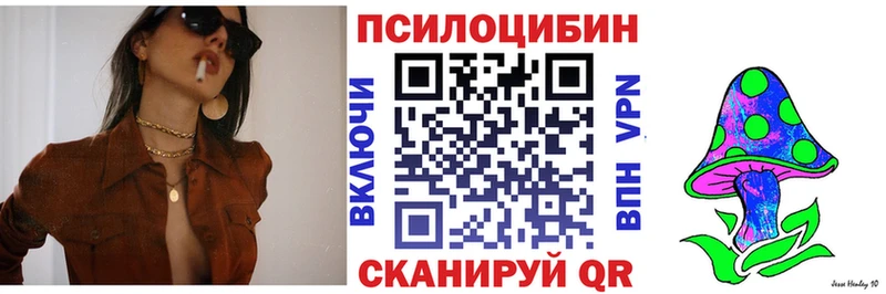 Купить  Мегион  Псилоцибиновые грибы прущие грибы 